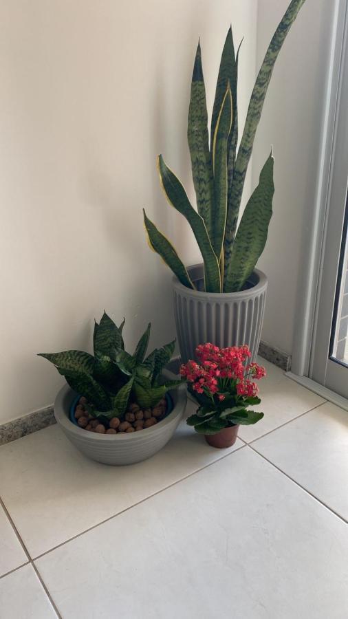 Apartamento Lindo Com Vista Mar